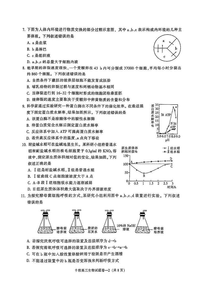 金华十校2024届11月高三模拟考试-生物试卷第2页