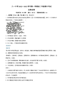 新疆生产建设兵团第二师八一中学2022-2023学年高二上学期期中生物试题（Word版附解析）