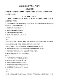 安徽省部分学校2023-2024学年高三上学期11月段考生物试题（Word版附解析）