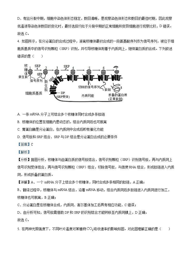 内蒙古赤峰市第二中学2023-2024学年高三上学期10月月考生物试题（Word版附解析）第3页
