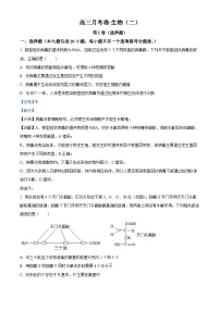 新疆生产建设兵团第二师八一中学2022-2023学年高三上学期11月月考生物试题（Word版附解析）