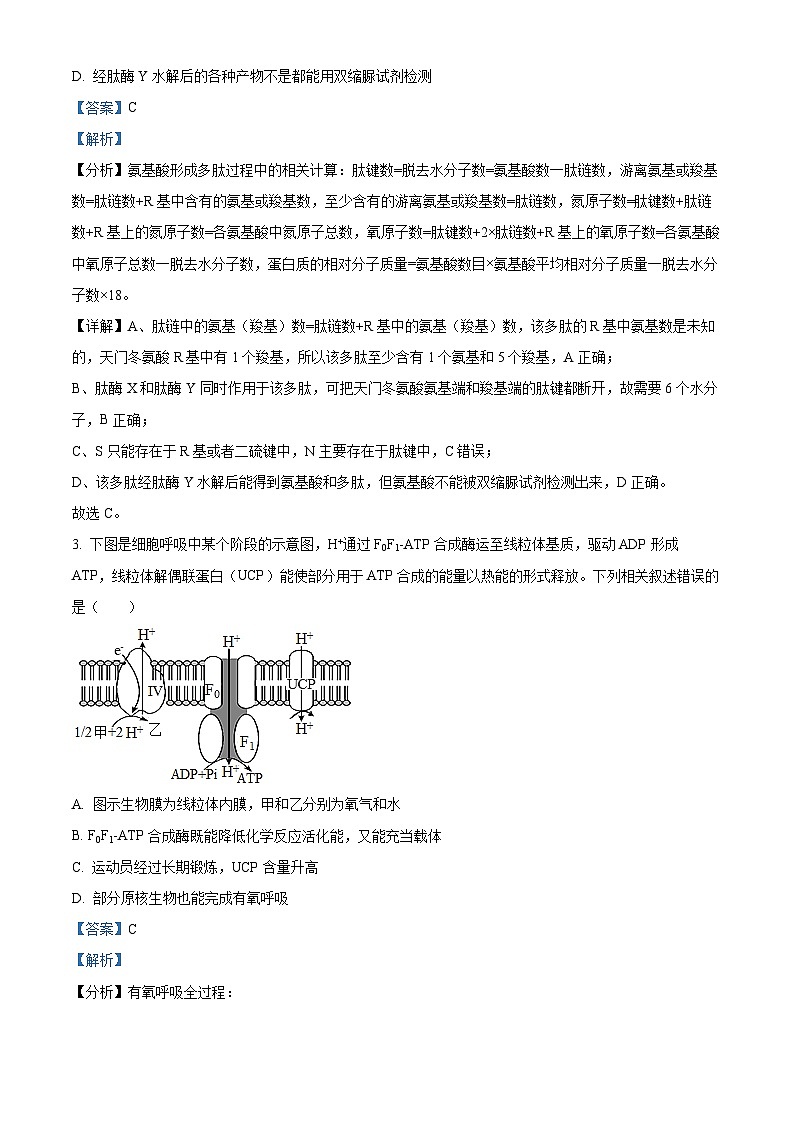 新疆生产建设兵团第二师八一中学2022-2023学年高三上学期11月月考生物试题（Word版附解析）02