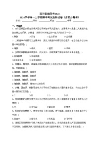 四川省绵阳市2023-2024学年高一上学期期中考试生物试卷（含部分解析）