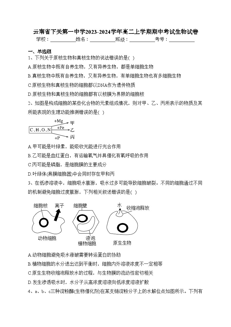 云南省下关第一中学2023-2024学年高二上学期期中考试生物试卷(含答案)第1页