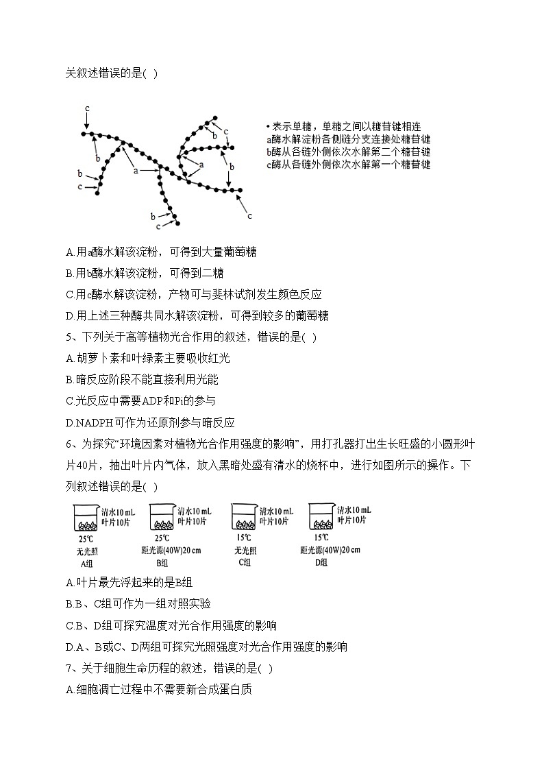 云南省下关第一中学2023-2024学年高二上学期期中考试生物试卷(含答案)第2页