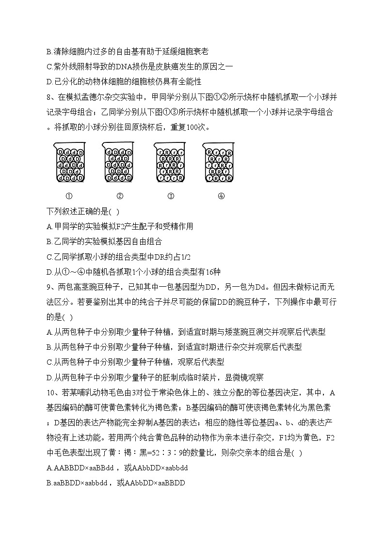 云南省下关第一中学2023-2024学年高二上学期期中考试生物试卷(含答案)第3页