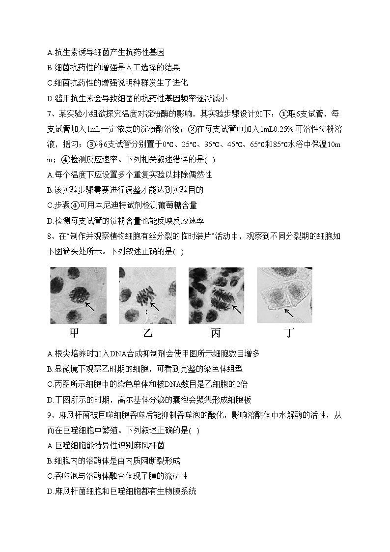 浙江省衢州、丽水、湖州三地市2024届高三上学期11月期中教学质量检测生物试卷（含部分解析）02