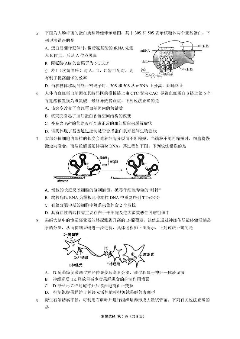 江苏省南京市六校2023-2024高三上学期期中调研生物试卷+答案第2页
