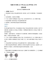 2023维吾尔自治区乌鲁木齐第101中学高三上学期11月月考生物试题含解析