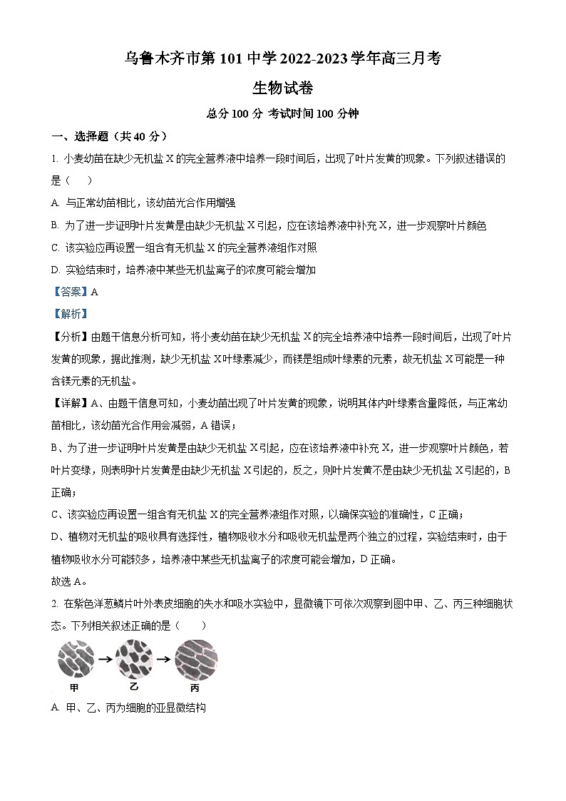 2023维吾尔自治区乌鲁木齐第101中学高三上学期11月月考生物试题含解析01