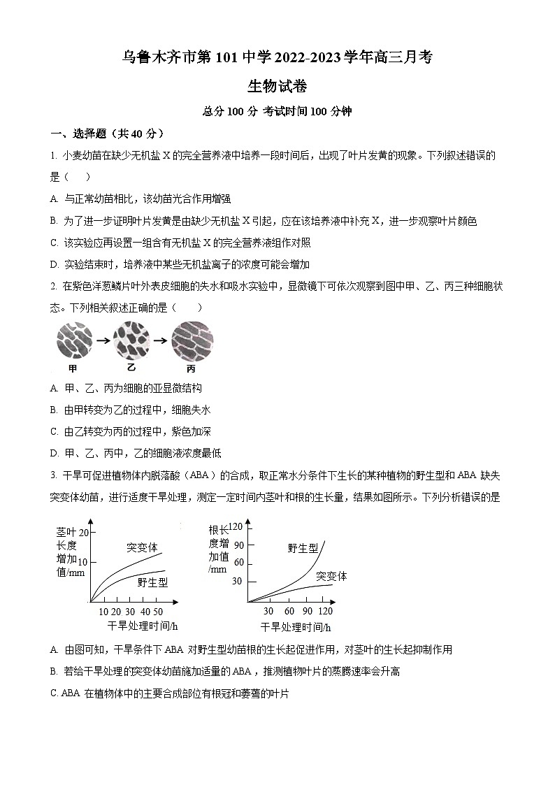 2023维吾尔自治区乌鲁木齐第101中学高三上学期11月月考生物试题含解析01