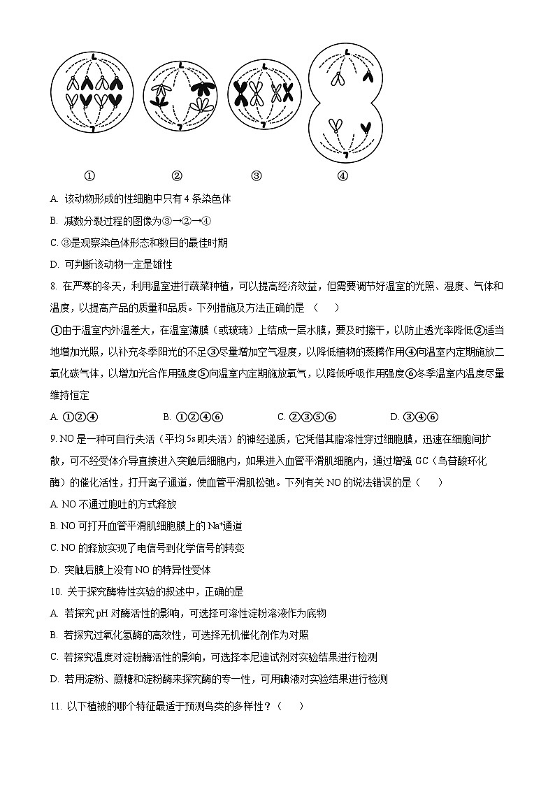 2023维吾尔自治区乌鲁木齐第101中学高三上学期11月月考生物试题含解析03