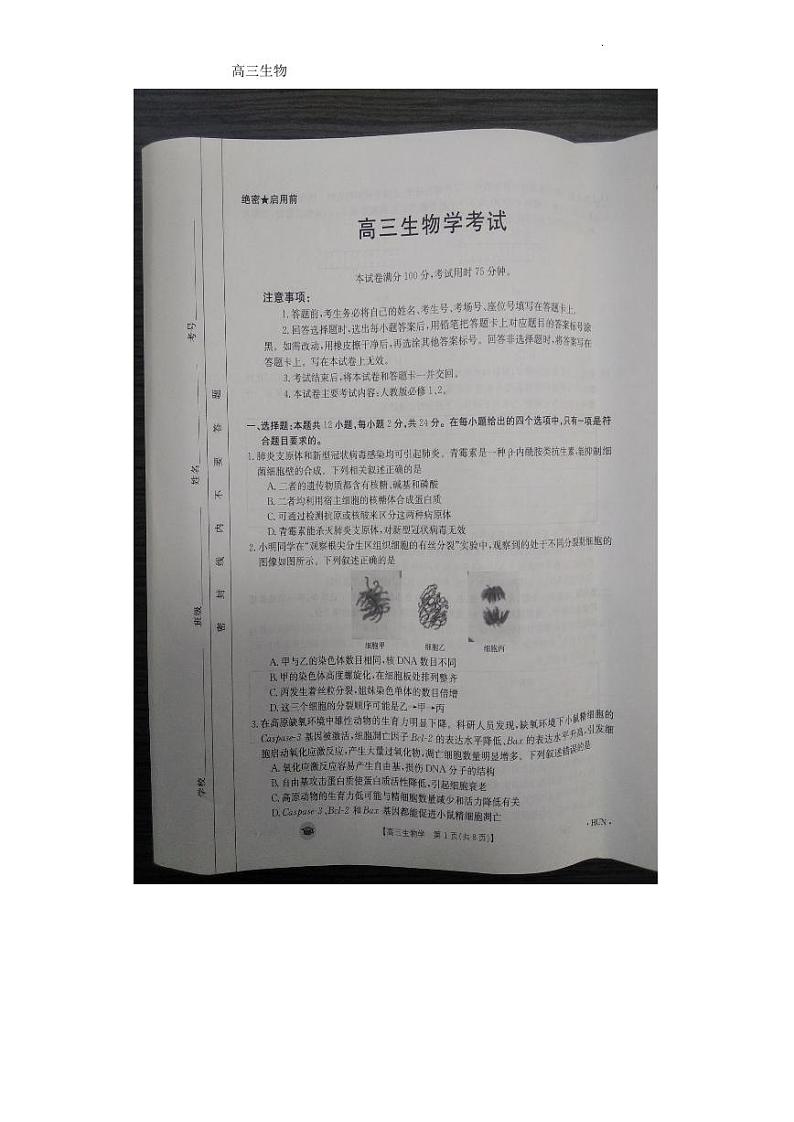 2024衡阳衡南县高三上学期11月期中考试生物PDF版含答案01