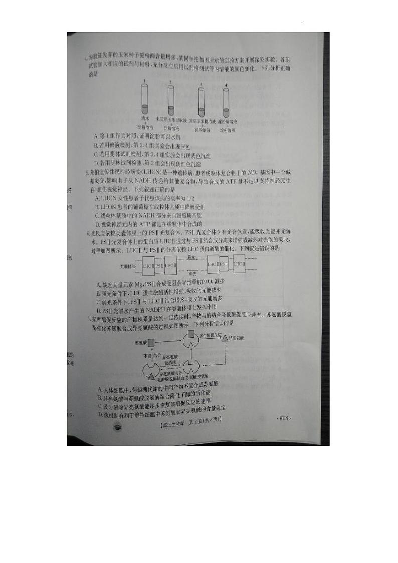 2024衡阳衡南县高三上学期11月期中考试生物PDF版含答案02