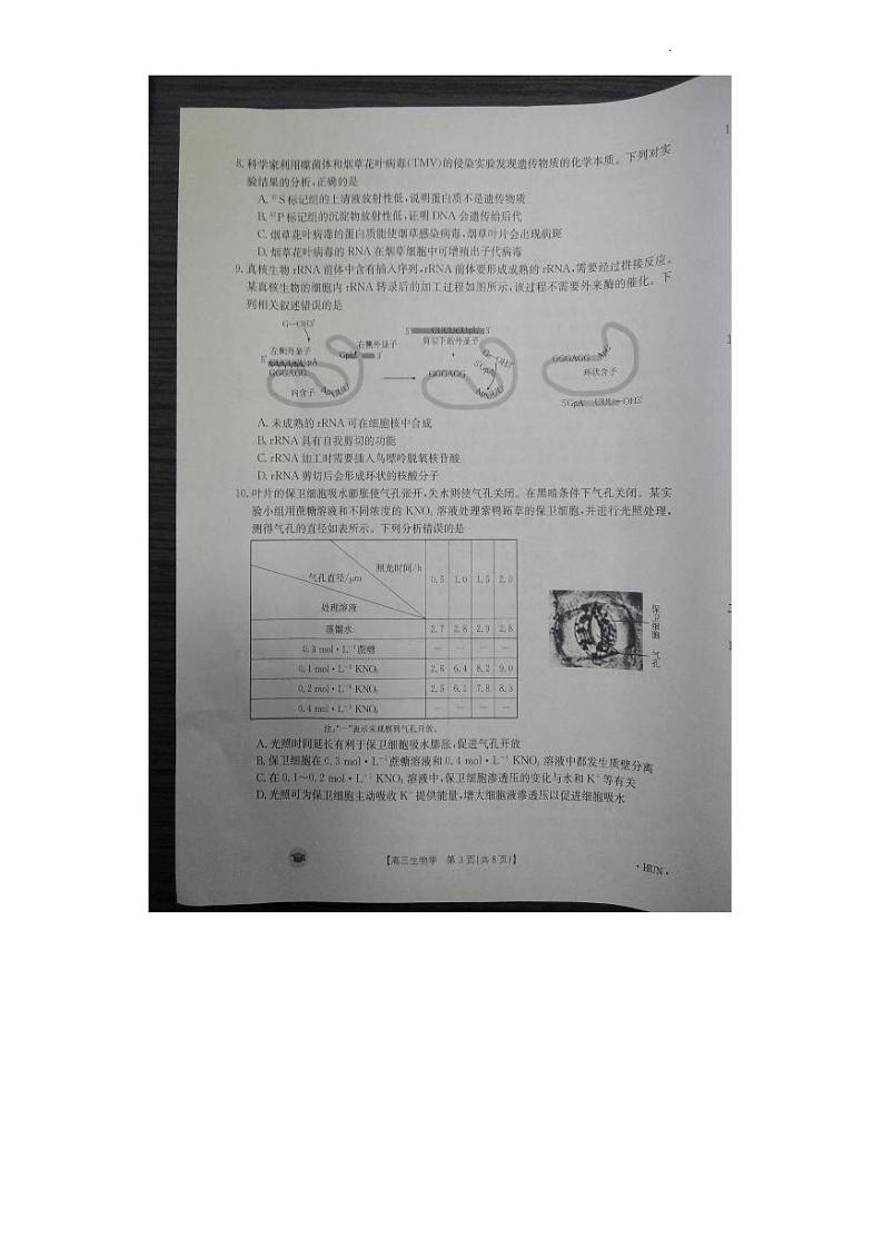 2024衡阳衡南县高三上学期11月期中考试生物PDF版含答案03