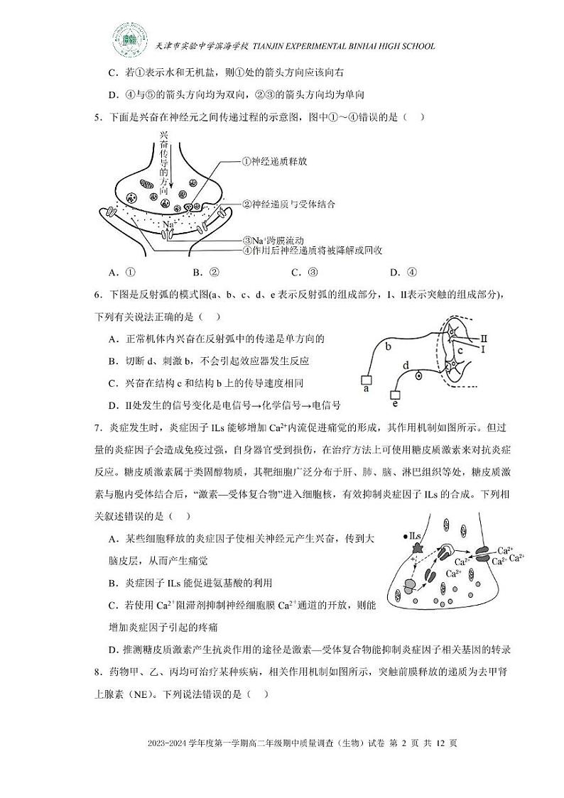 天津市实验中学滨海学校2023-2024学年高二上学期期中质量调查生物试题第2页