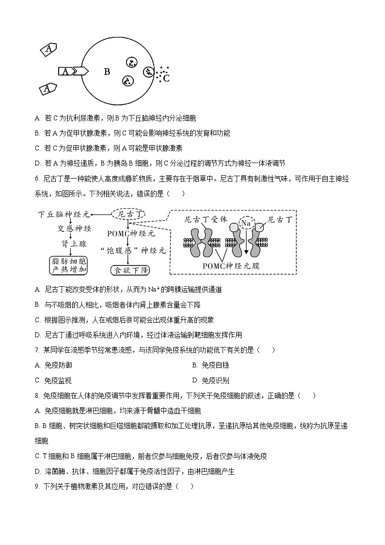 2024天津武清区高二上学期期中生物试题含解析02