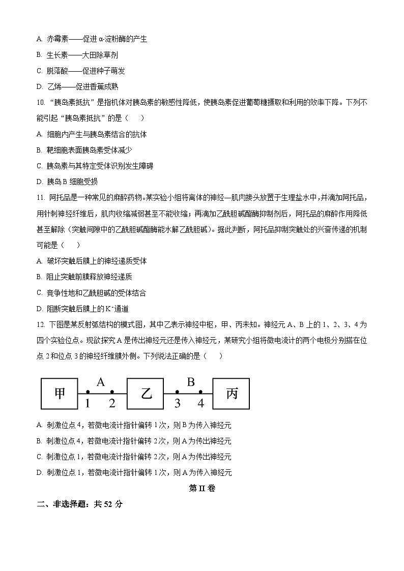 2024天津武清区高二上学期期中生物试题含解析03