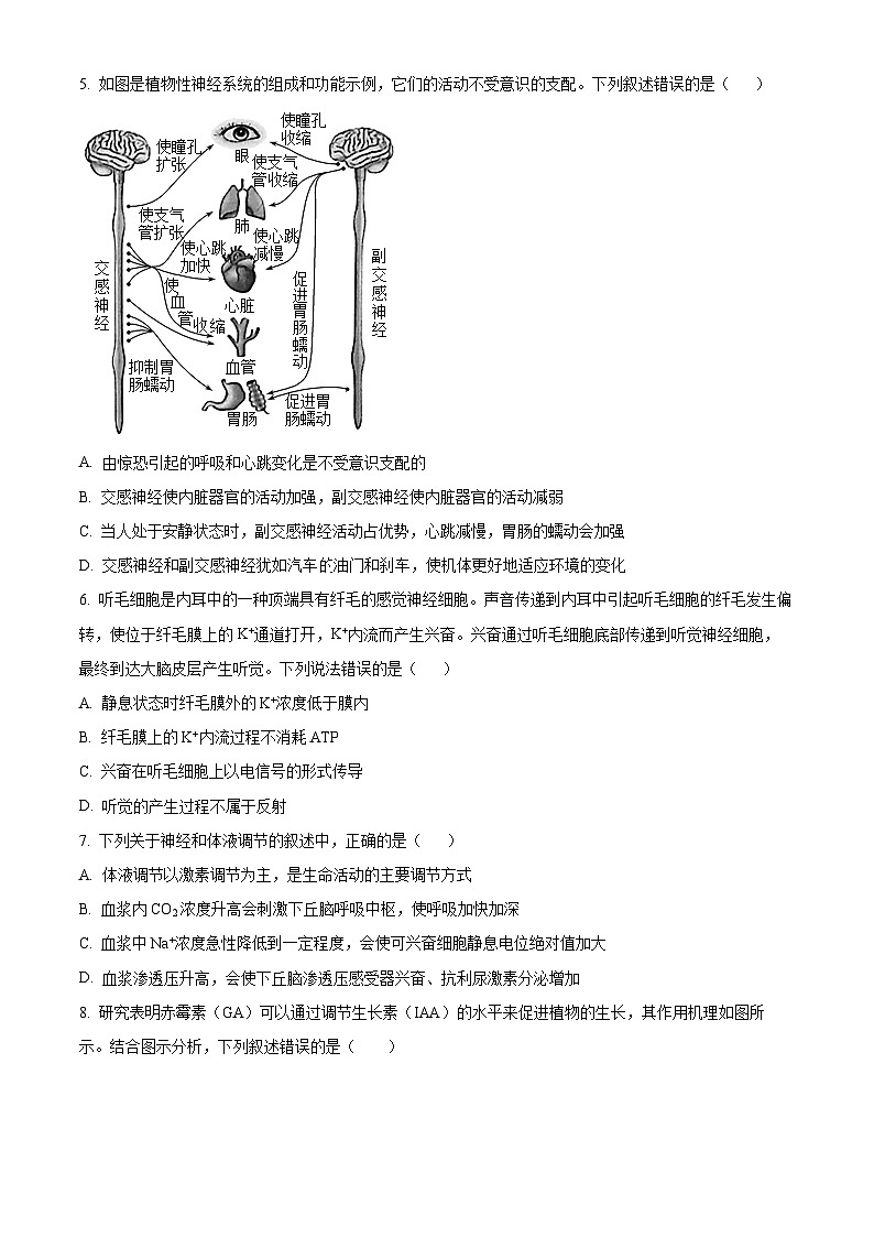2023维吾尔自治区乌鲁木齐第101中学高二上学期期中生物试题含解析02