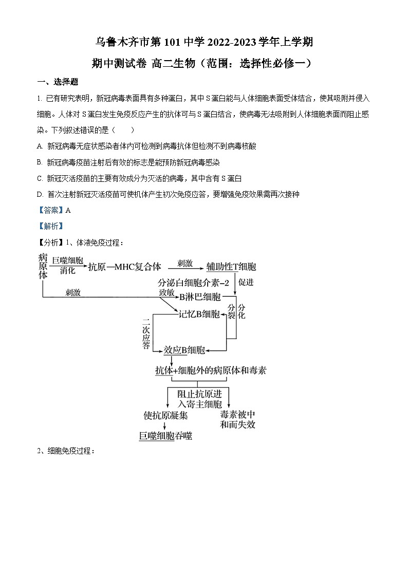 2023维吾尔自治区乌鲁木齐第101中学高二上学期期中生物试题含解析01