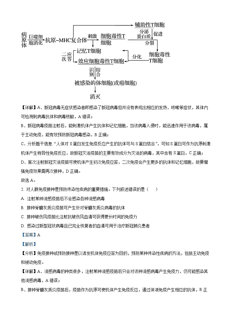 2023维吾尔自治区乌鲁木齐第101中学高二上学期期中生物试题含解析02