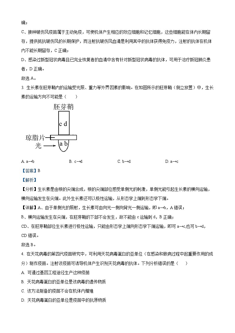 2023维吾尔自治区乌鲁木齐第101中学高二上学期期中生物试题含解析03