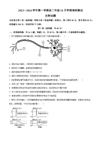 2024扬州高邮高二上学期10月月考生物试题含解析