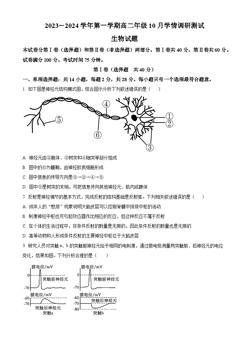 2024扬州高邮高二上学期10月月考生物试题含解析01