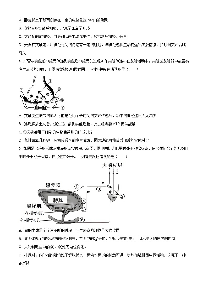 2024扬州高邮高二上学期10月月考生物试题含解析02