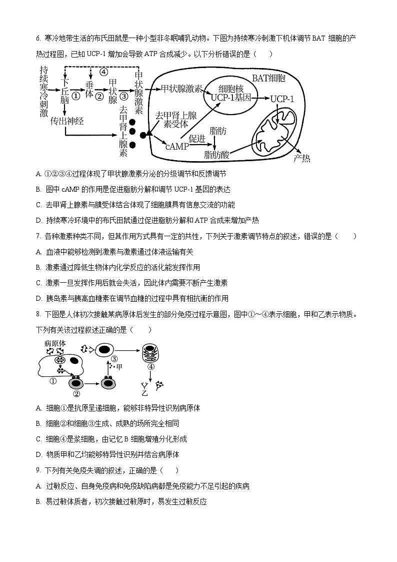 2024扬州高邮高二上学期10月月考生物试题含解析03