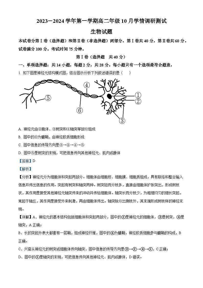 2024扬州高邮高二上学期10月月考生物试题含解析01