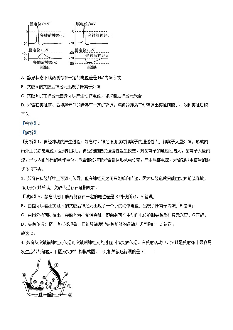 2024扬州高邮高二上学期10月月考生物试题含解析03