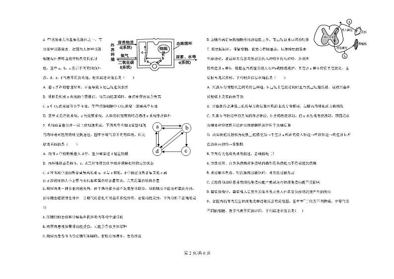 四川省眉山市仁寿县2023-2024学年高二上学期11月期中联考生物试题02