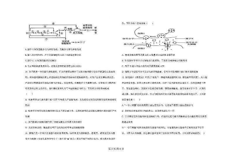 四川省眉山市仁寿县2023-2024学年高二上学期11月期中联考生物试题03