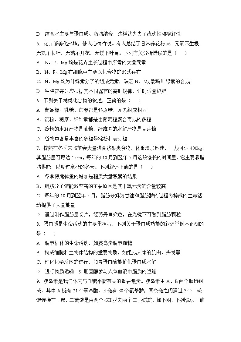 湖南省衡阳县第二中学2023-2024学年高一上学期期中考试生物试题02
