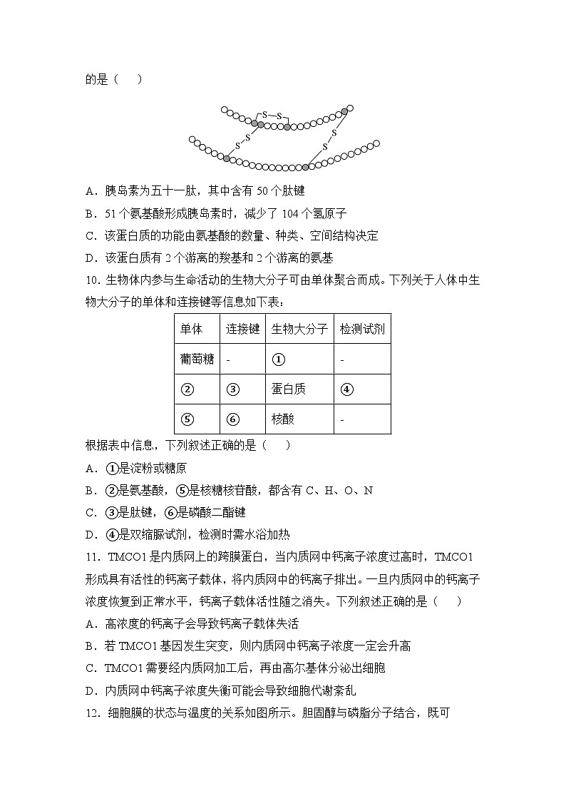 湖南省衡阳县第二中学2023-2024学年高一上学期期中考试生物试题03