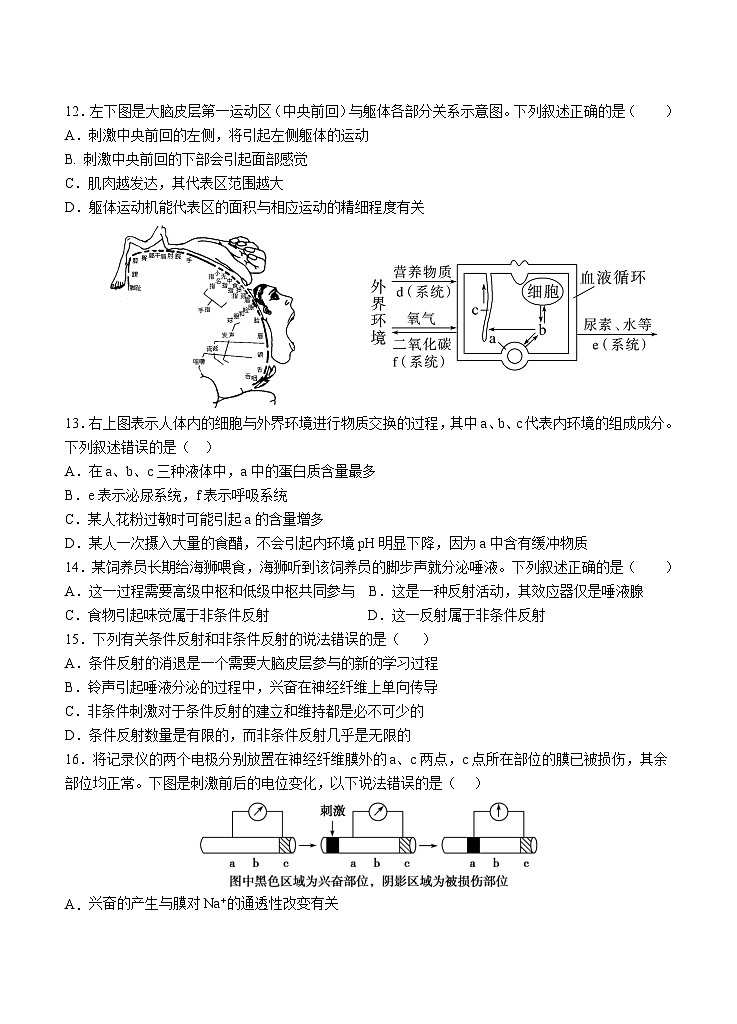 广东省汕头市金山中学2023-2024学年高二上学期10月阶段生物试题（Word版附答案）第3页