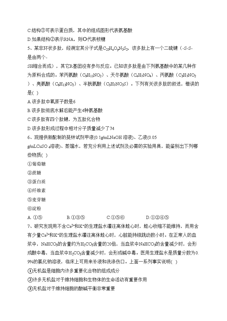 福建省厦门双十中学2023-2024学年高一上学期期中生物试题(含答案)02