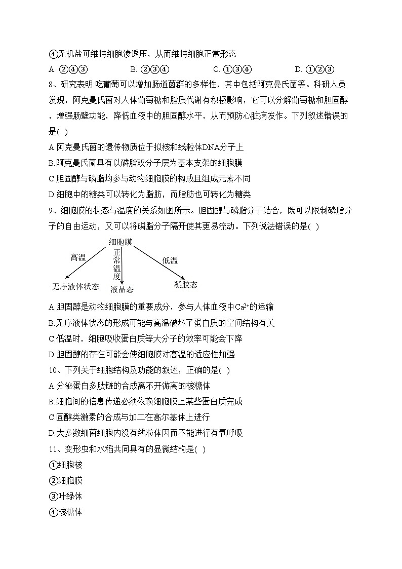 福建省厦门双十中学2023-2024学年高一上学期期中生物试题(含答案)03