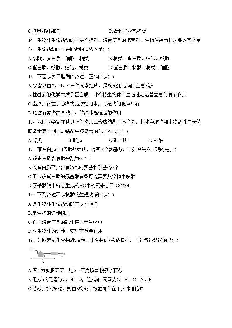 江苏省泰州市姜堰区2023-2024学年高一11月期中生物试题(含答案)03