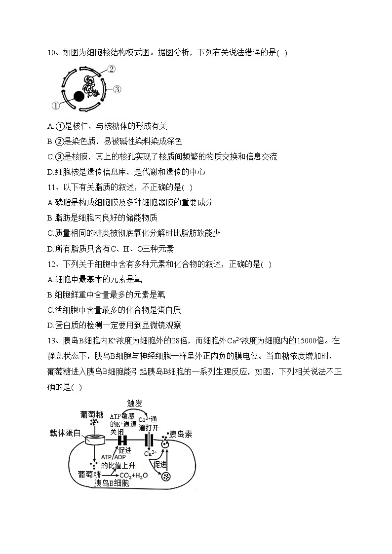 江西省景德镇一中2022-2023学年高一上学期期中（18班）生物试题(含答案)03