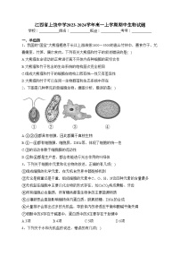 江西省上饶中学2023-2024学年高一上学期期中生物试题(含答案)