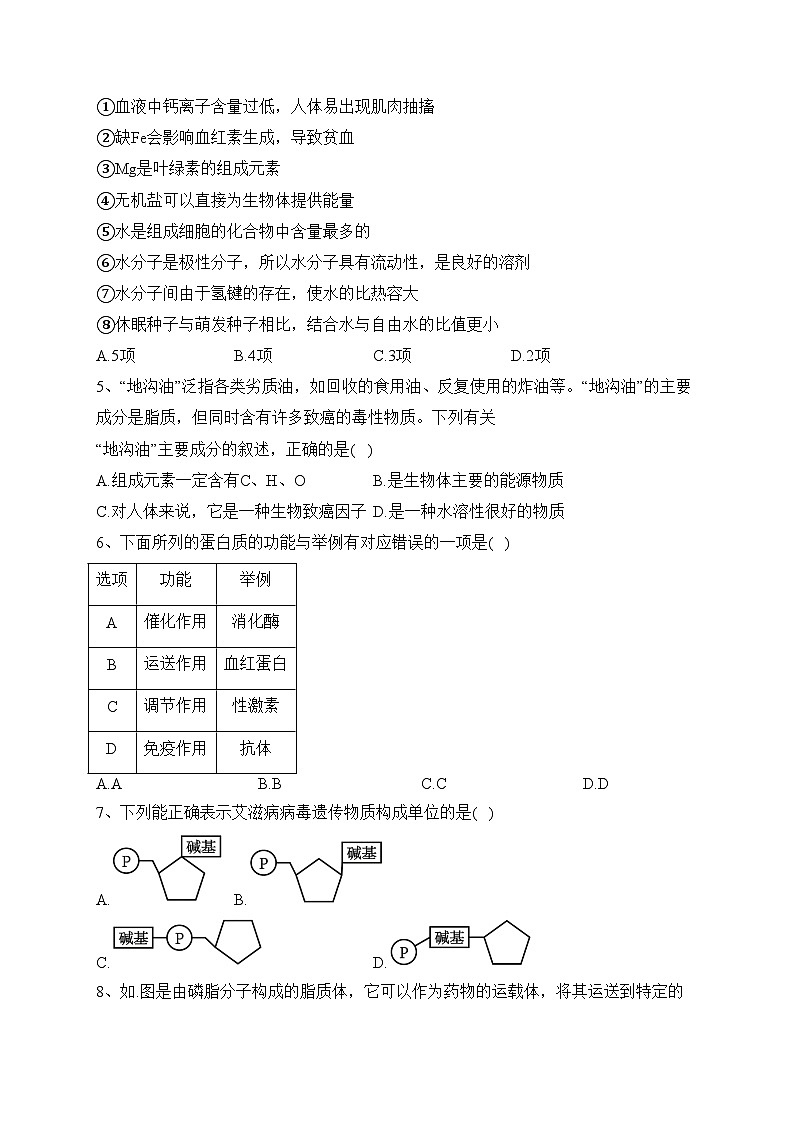 江西省上饶中学2023-2024学年高一上学期期中生物试题(含答案)02