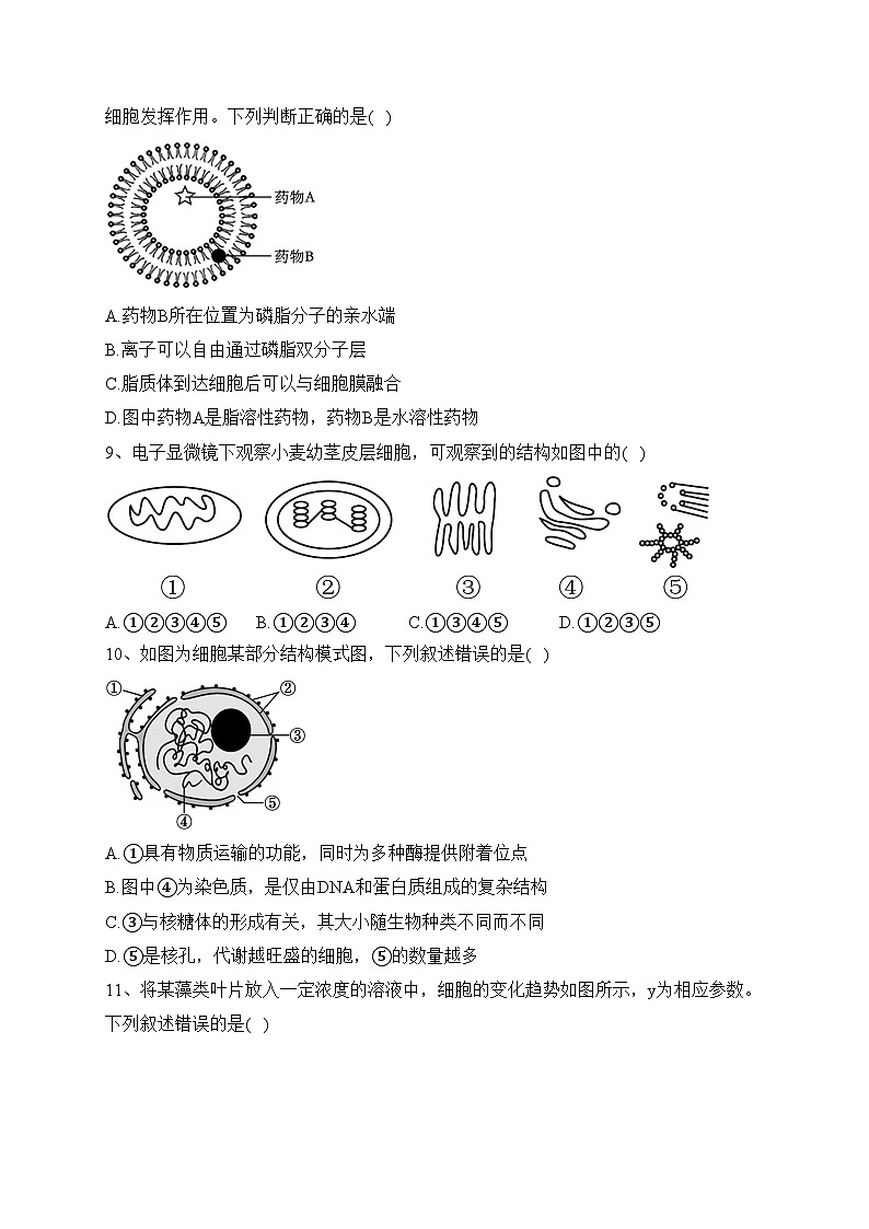 江西省上饶中学2023-2024学年高一上学期期中生物试题(含答案)03