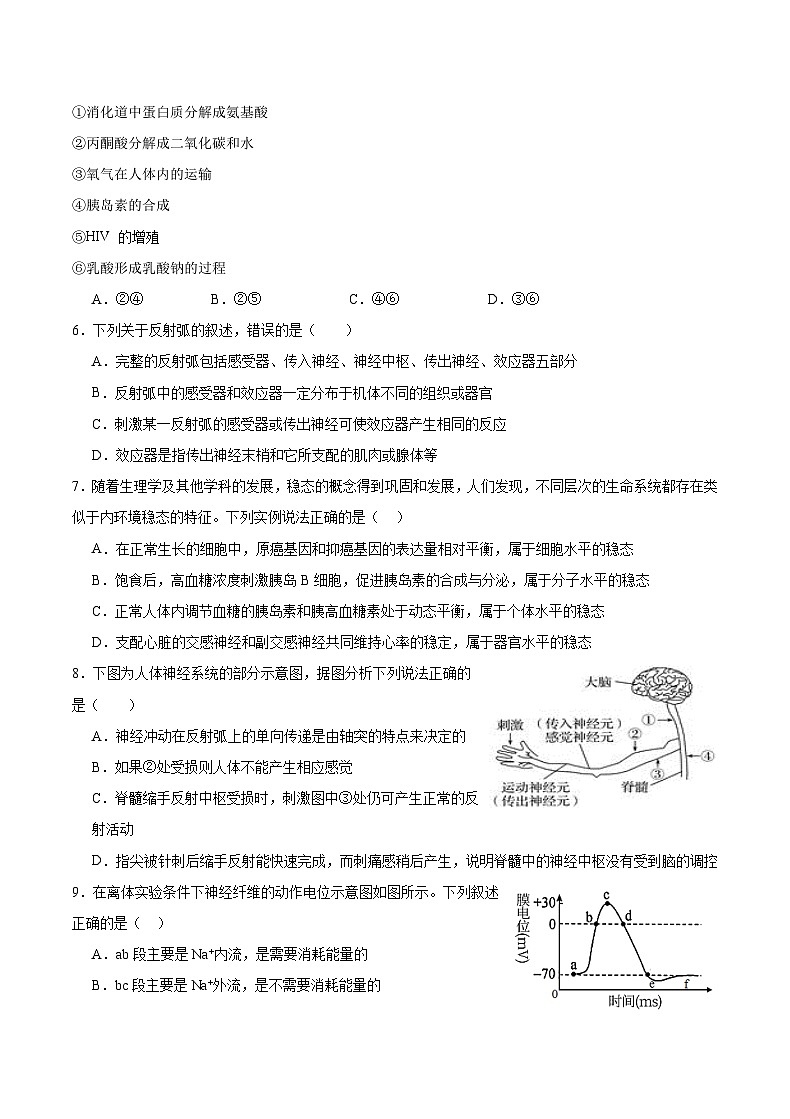 2023-2024学年高二上学期11月月考试题 生物 Word版含答案第2页