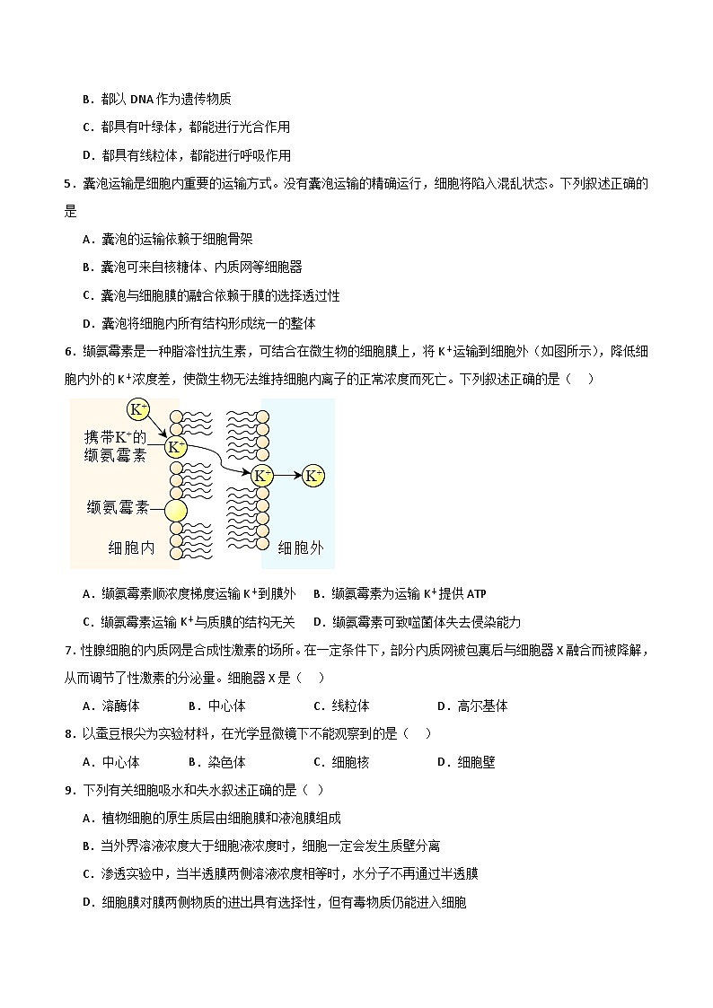 单元检测卷02 细胞的结构、功能和物质运输（原卷版 ）第2页
