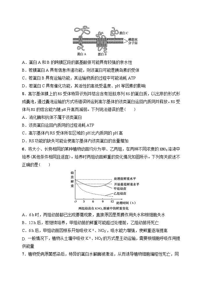2024西安长安区一中高三上学期第三次（期中）生物含答案 试卷02