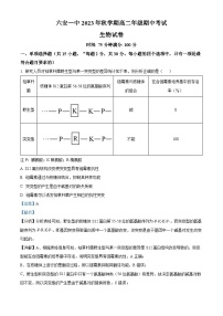 2024六安一中高二上学期期中考试生物试题含解析