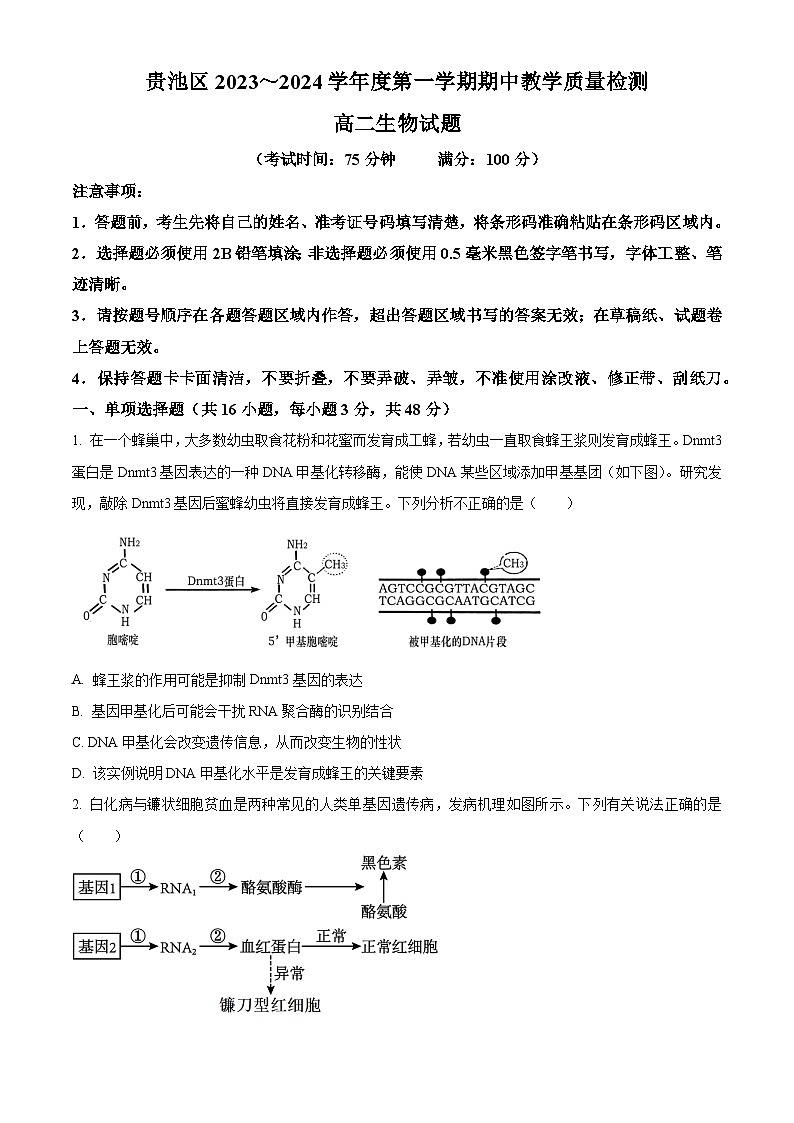 2024池州贵池区高二上学期期中考试生物试题含解析01