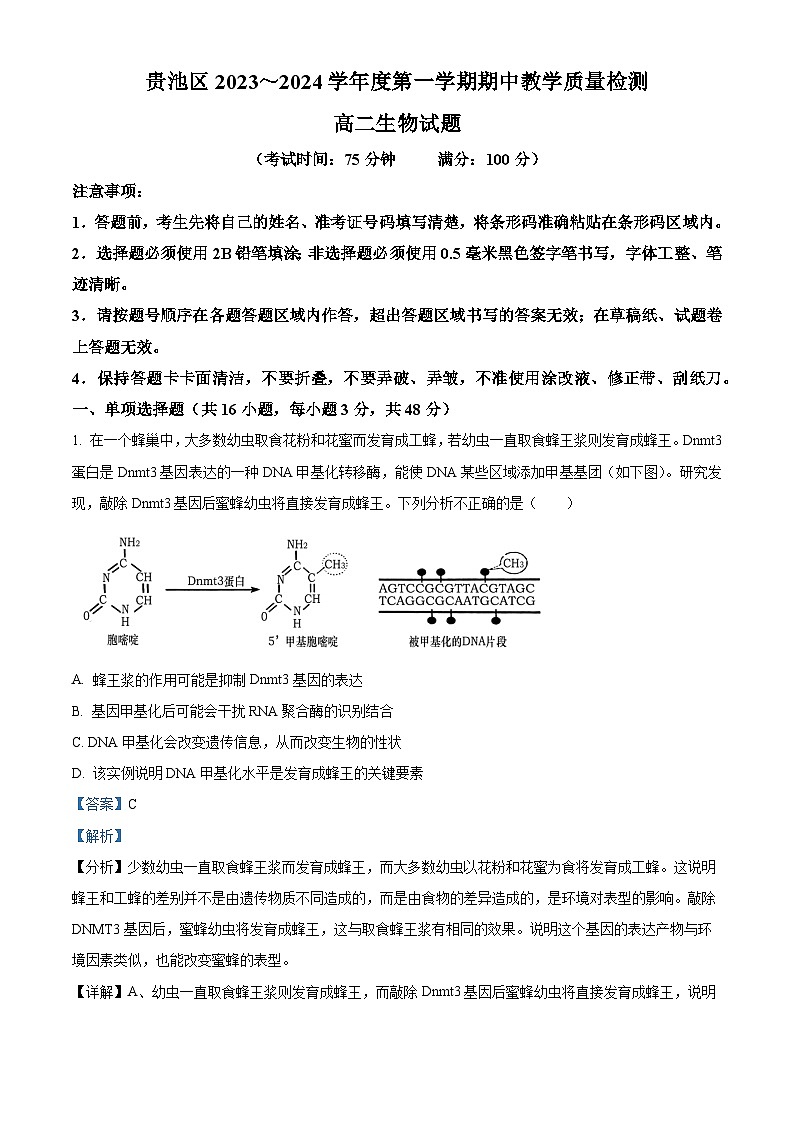2024池州贵池区高二上学期期中考试生物试题含解析01